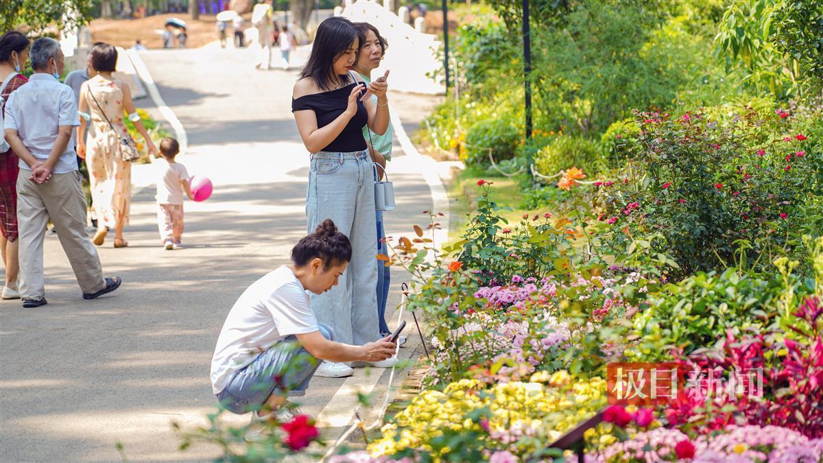 辉煌糖果派对网址